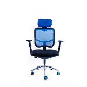 Ergonomic Office Chair